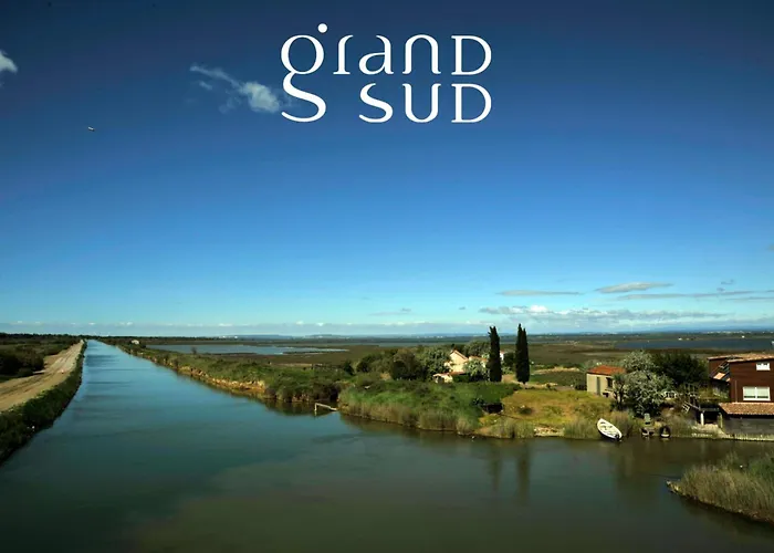 Les Palmiers - Vue Canal * Le Grau-du-Roi